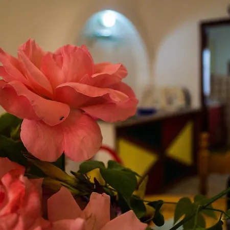 Agathi House 度假居 *