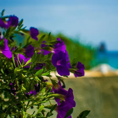 Agathi House * Agios Gordios (Corfu)