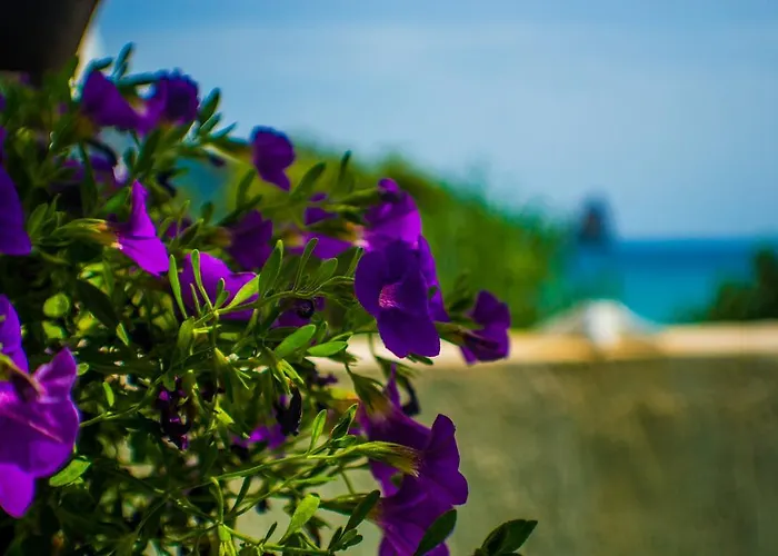 Agathi House * Agios Gordios (Corfu)