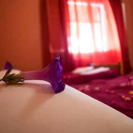 Agathi House Дом отдыха Агиос-Гордиос